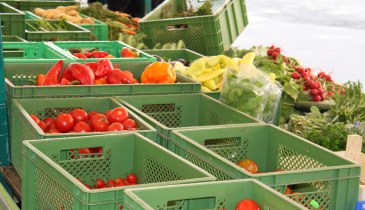 Bild zum Markt